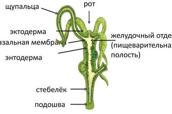 Kra12gl