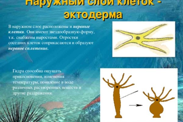 Кракен черный сайт